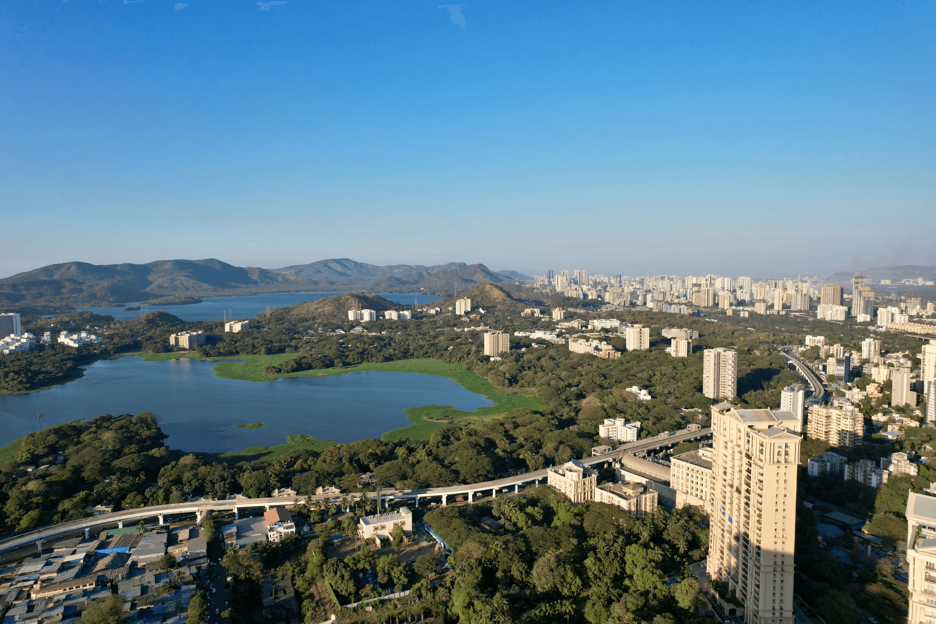 A view across Powai Lake and the surrounding city
